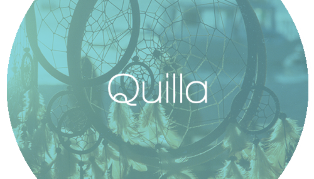 Quilla Taste of Charlotte Festival