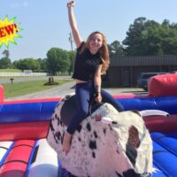 Mechanical Bull
