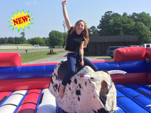 Mechanical Bull