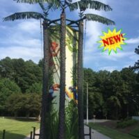 Coconut Climbing Wall