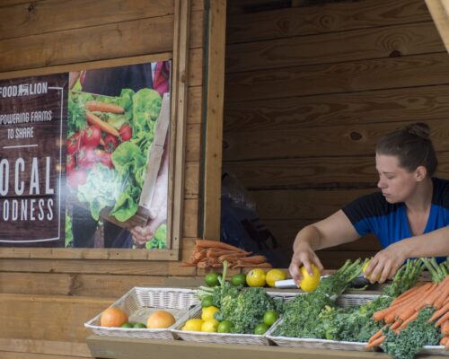 Food Lion 2019-Produce Stand (4)