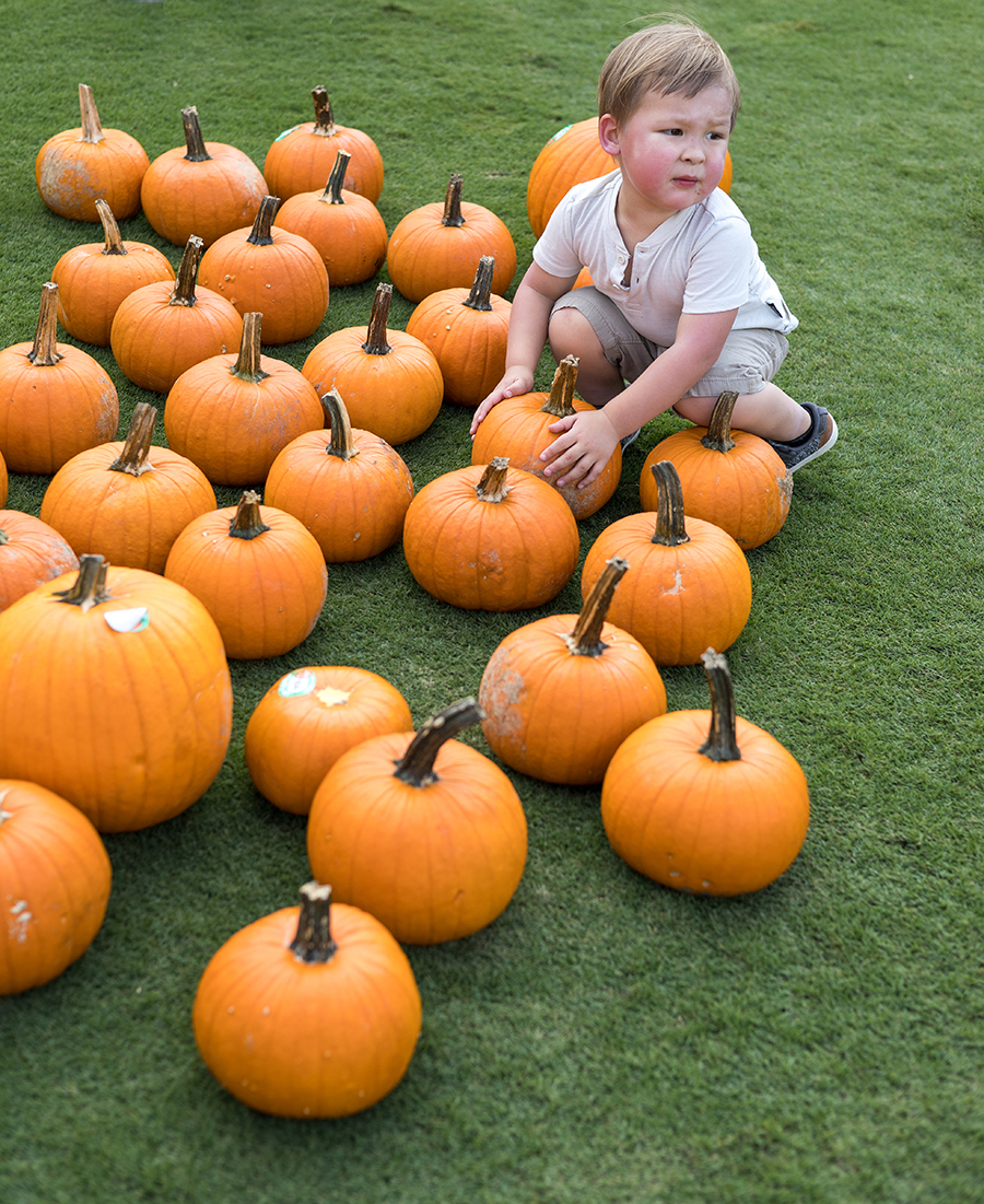 Pumpkin Patch 14 (Miranda Reger Photography)