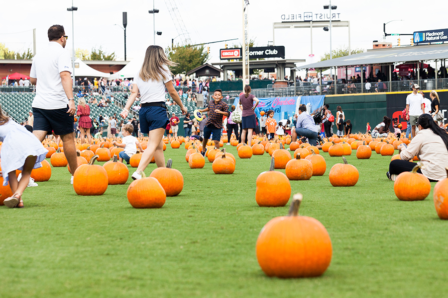 Pumpkin Patch 4 (Miranda Reger Photography)