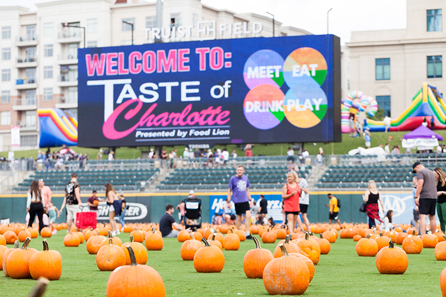 Welcome to TOC with Pumpkins 7 (Miranda Reger Photography)