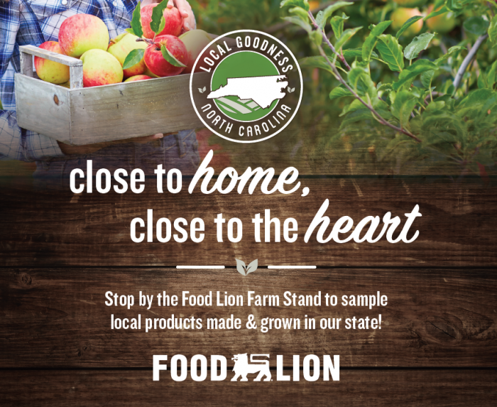 Food Lion 2022 Ad