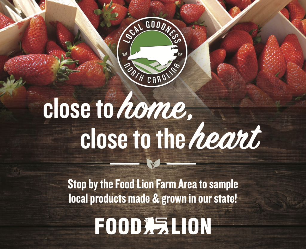 Food Lion Taste of Charlotte Festival