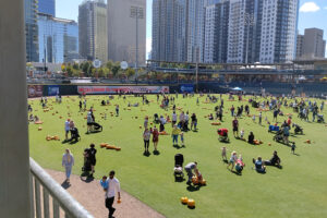 Pumpkin patch outfield Audi Right Field Board 1