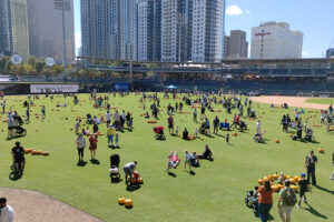 Pumpkin patch outfield Audi Right Field Board 2