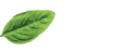 basil-refined-thai