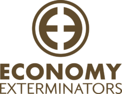 Economy E_logo_Merchandise