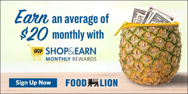 Food Lion DIS_Q2P5_S&E_May2025_600x300 lo res